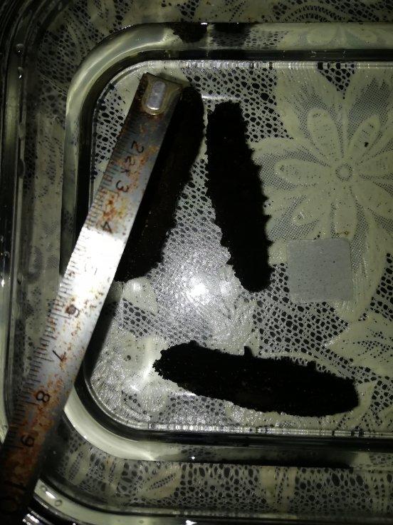 手把手教你泡发海参