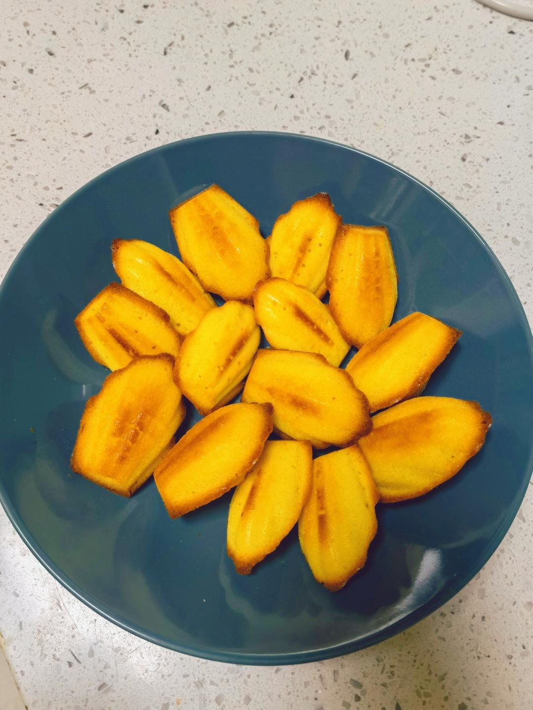 玛德琳（蓝带方）