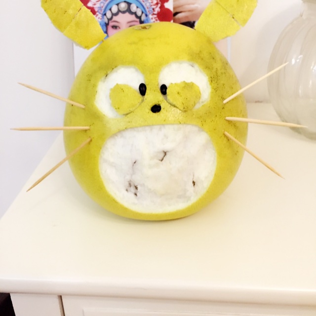 顽皮柚子龙猫