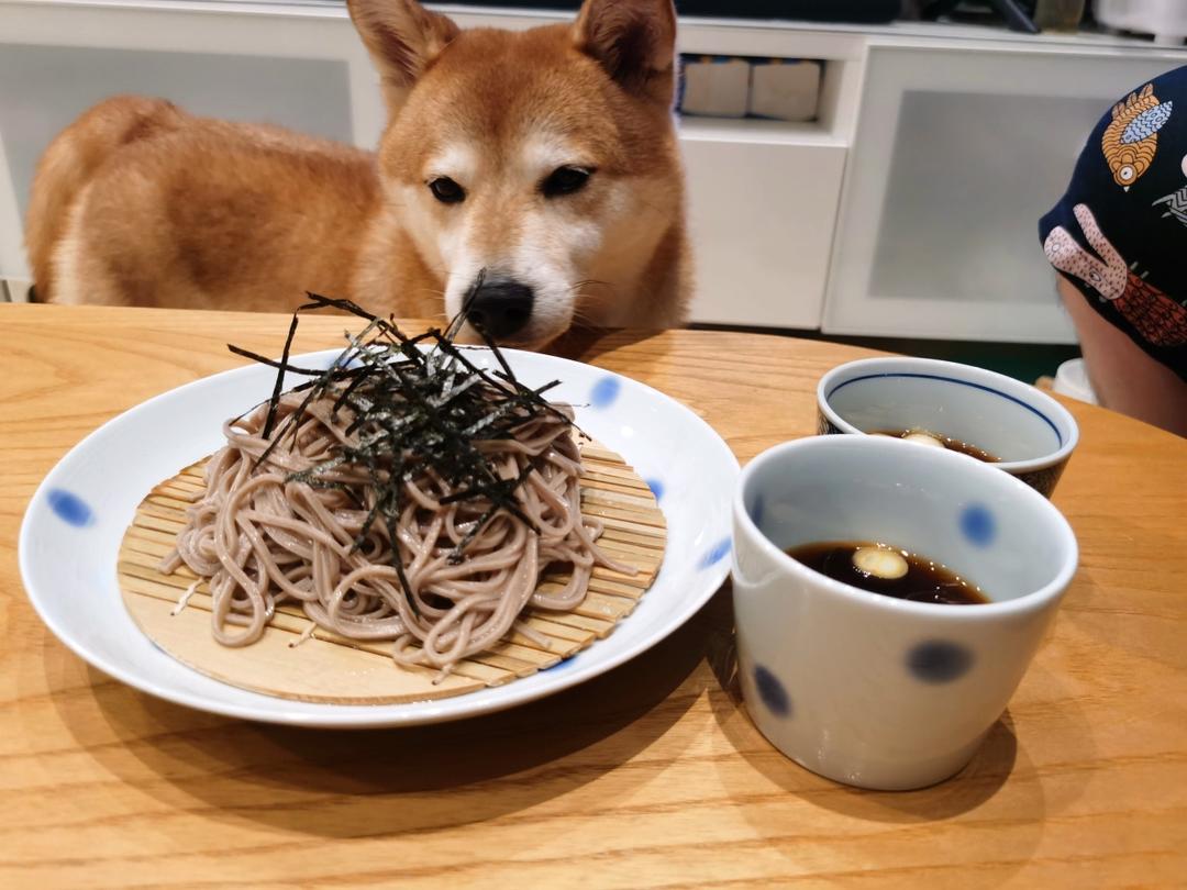 日式荞麦冷面