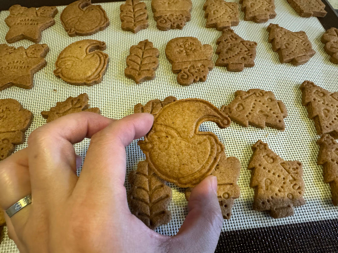 圣诞姜饼人 lebkuchen ❨德国瑞士的配方❩