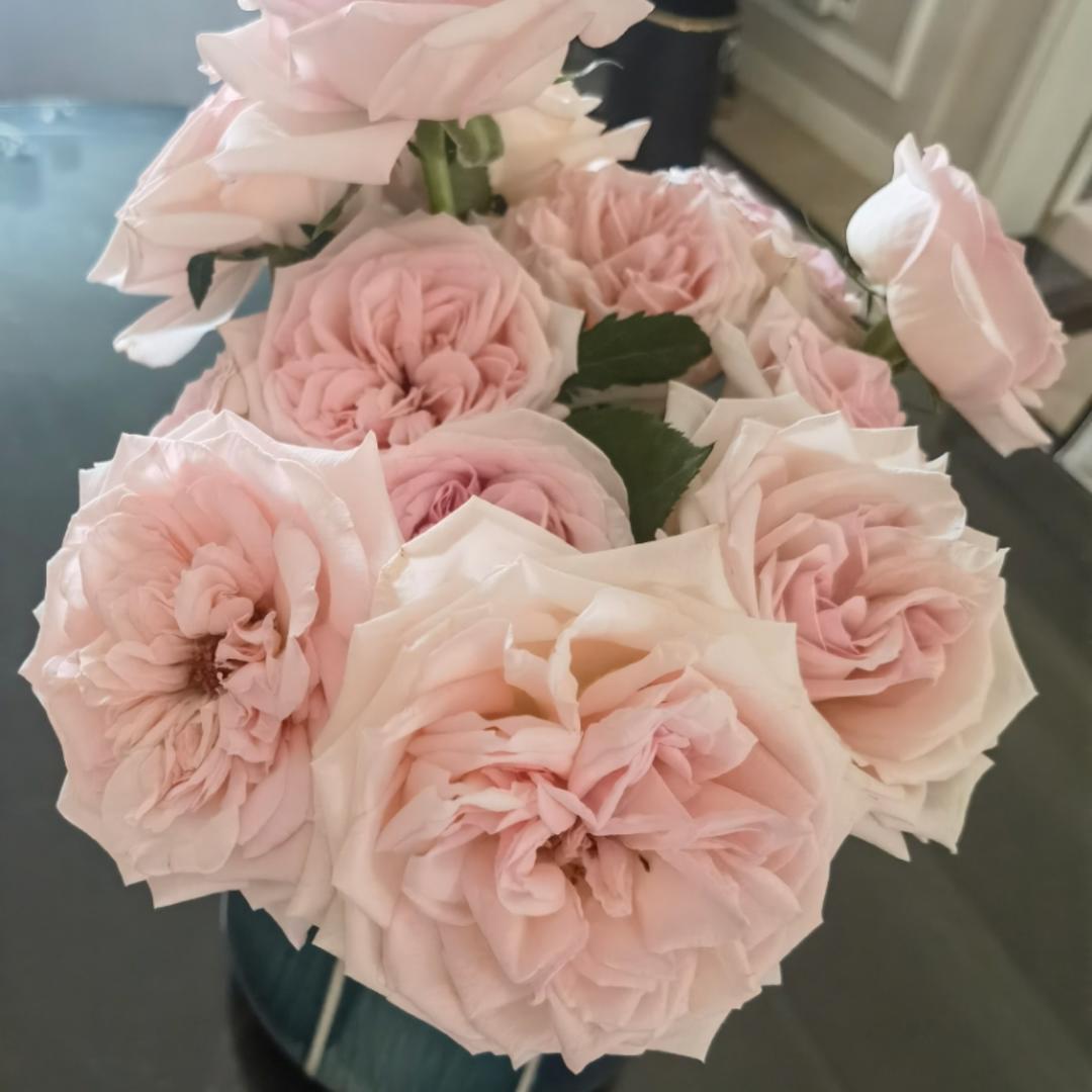 晔子78