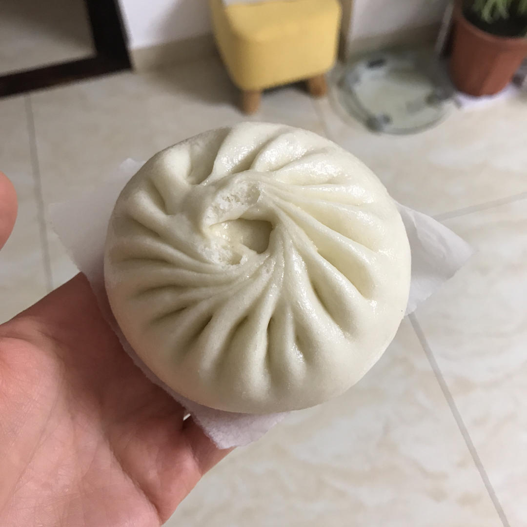 一次发酵肉包子