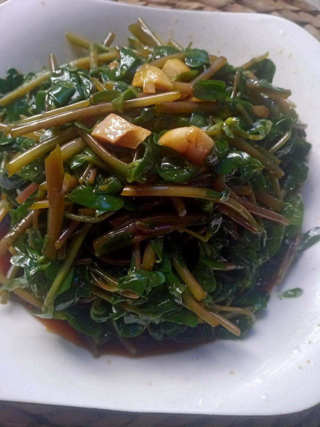 凉拌马马菜（凉拌马齿苋）