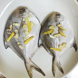 六月鲜｜轻盐清蒸鲳鱼的做法 步骤1