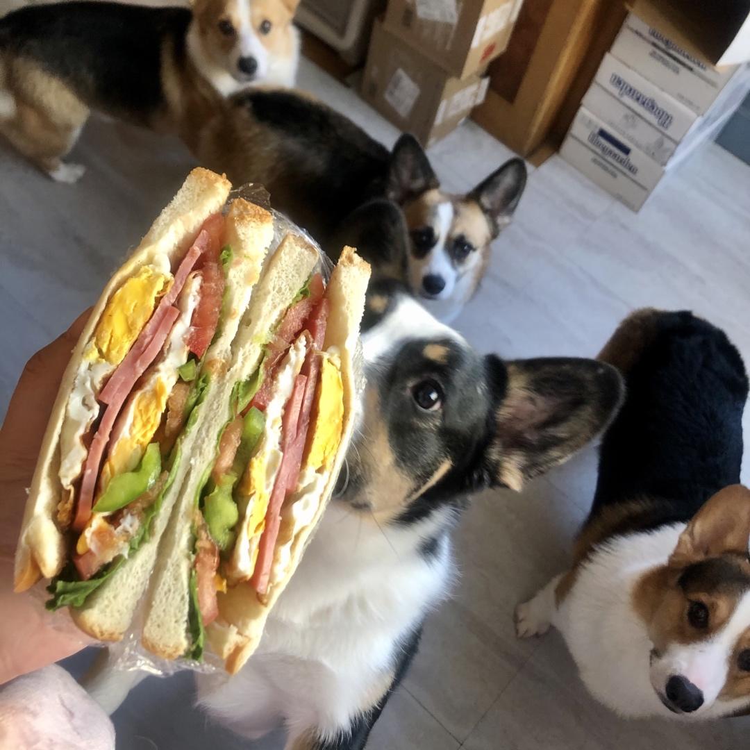 上班族👩‍💼自制早餐三明治🥪