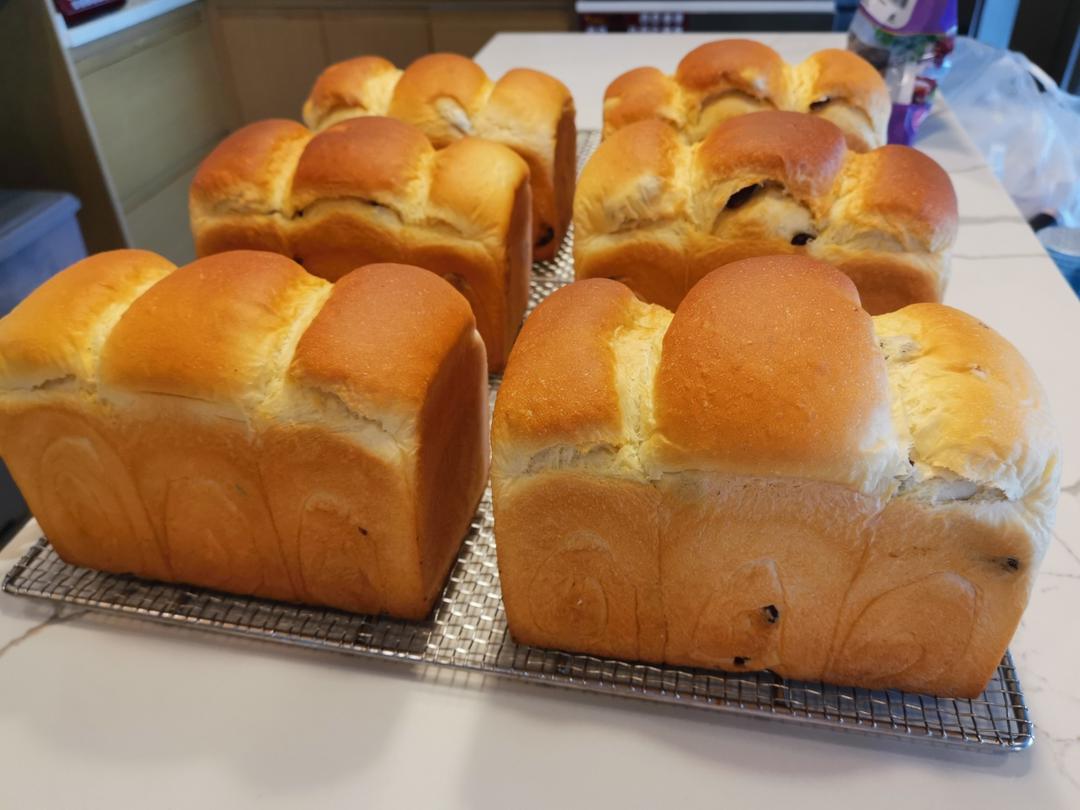 炼乳鲜奶提子吐司｜奶香加倍柔软加倍
