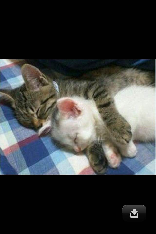 半分醒2Amor半分醉