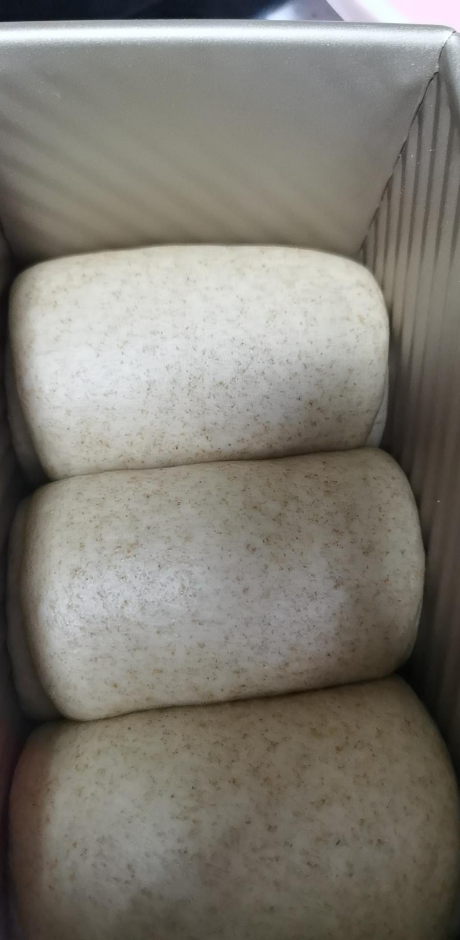 柔韧度超好的淡奶油全麦吐司🍞