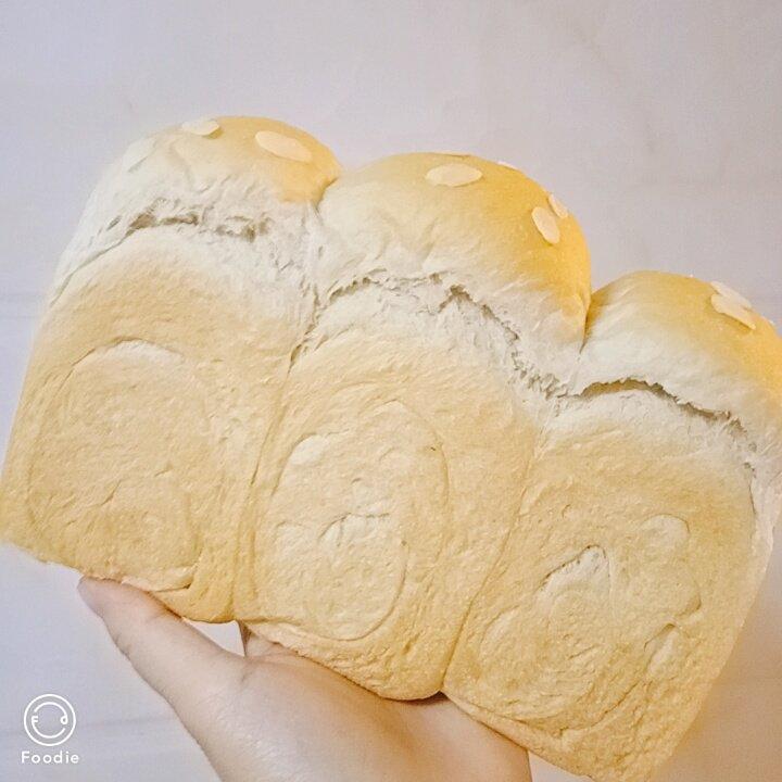吐司成长记录