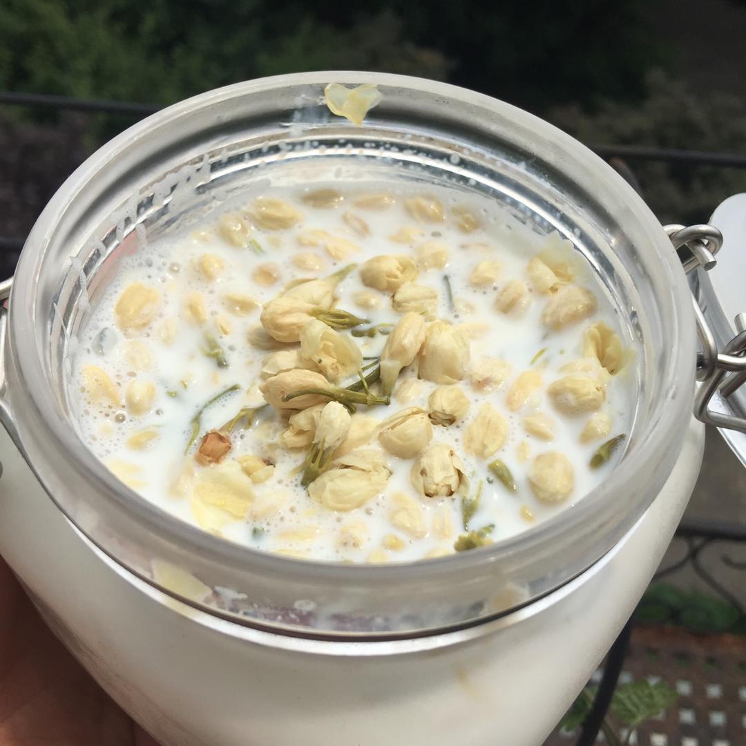 吃豆腐啦！——小嶋老师茉莉奶冻