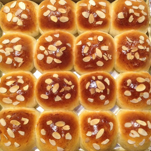 鲜奶油小餐包（一次发酵）