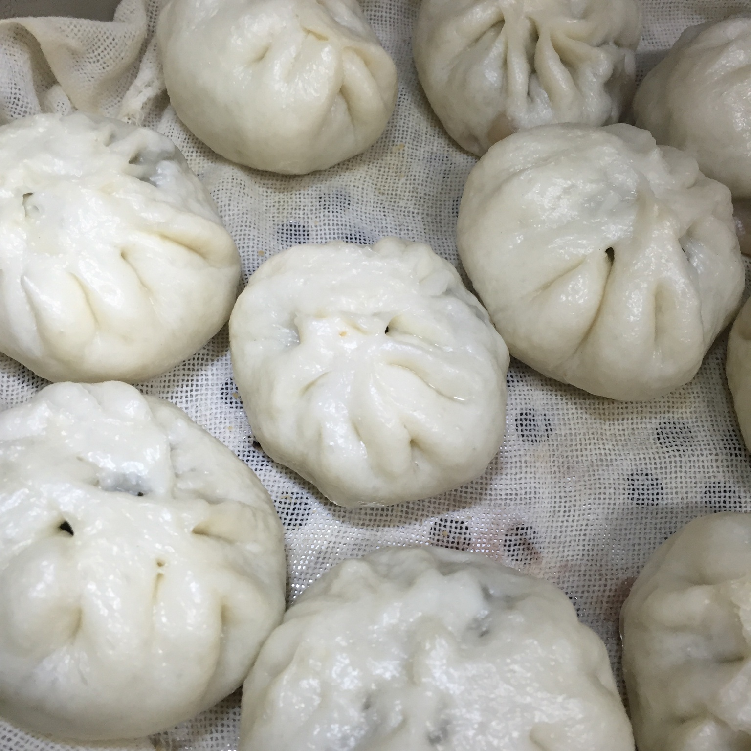 豆角包子