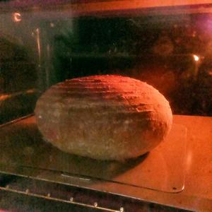 The Bread Bible 基本酸麵團麵包(Basic Sourdough Bread)的做法 步骤15