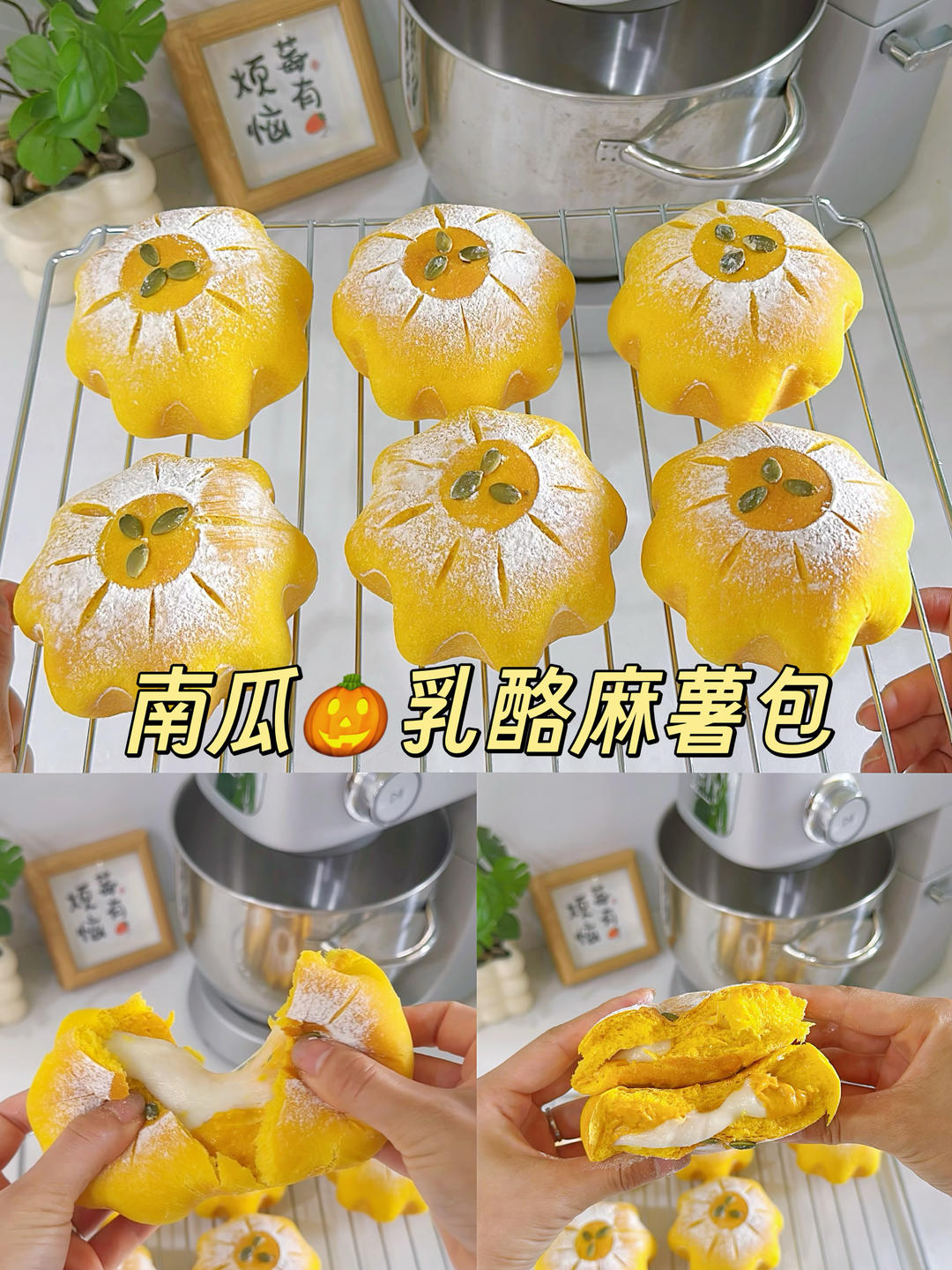 🎃南瓜乳酪麻薯包🍂这颗面包也太「秋」了🤩