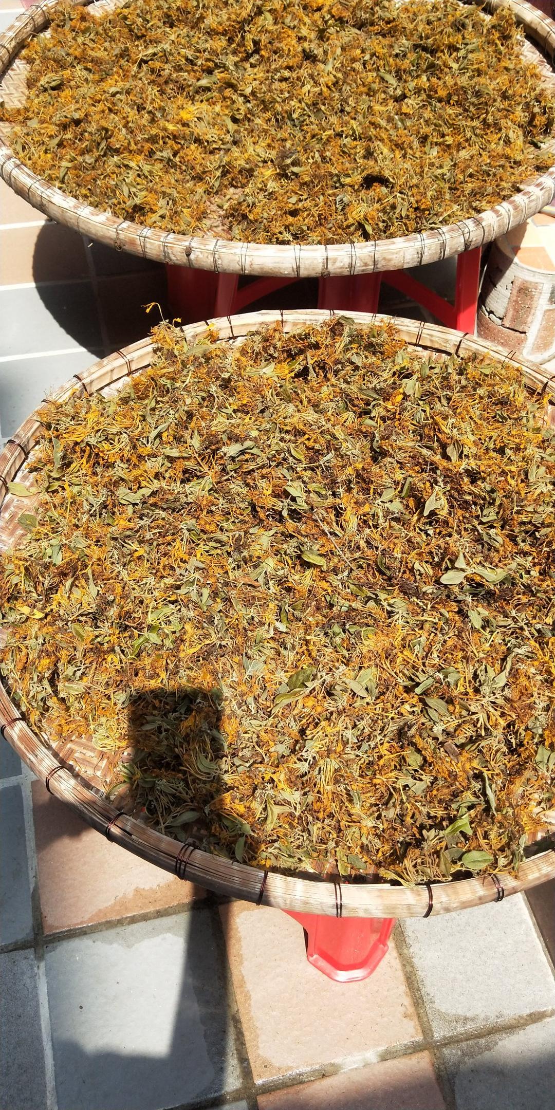 家常菜篇