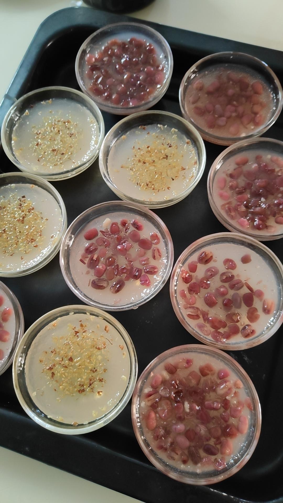 水晶红豆💮钵仔糕💮Q弹