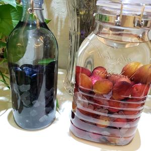 梅子酒，蓝莓酒的做法 步骤2