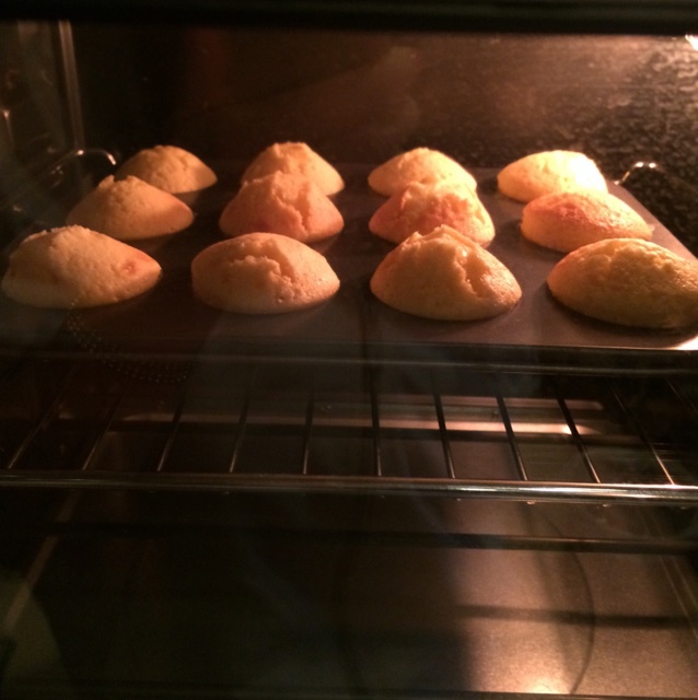 玛德琳（蓝带方）