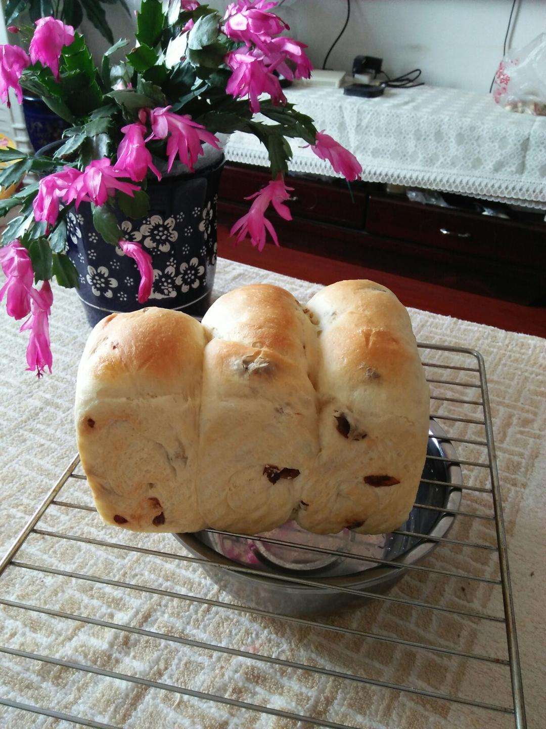 夺命软吐司(๑´ڡ`๑)超软拉丝极速方便的一次发酵吐司