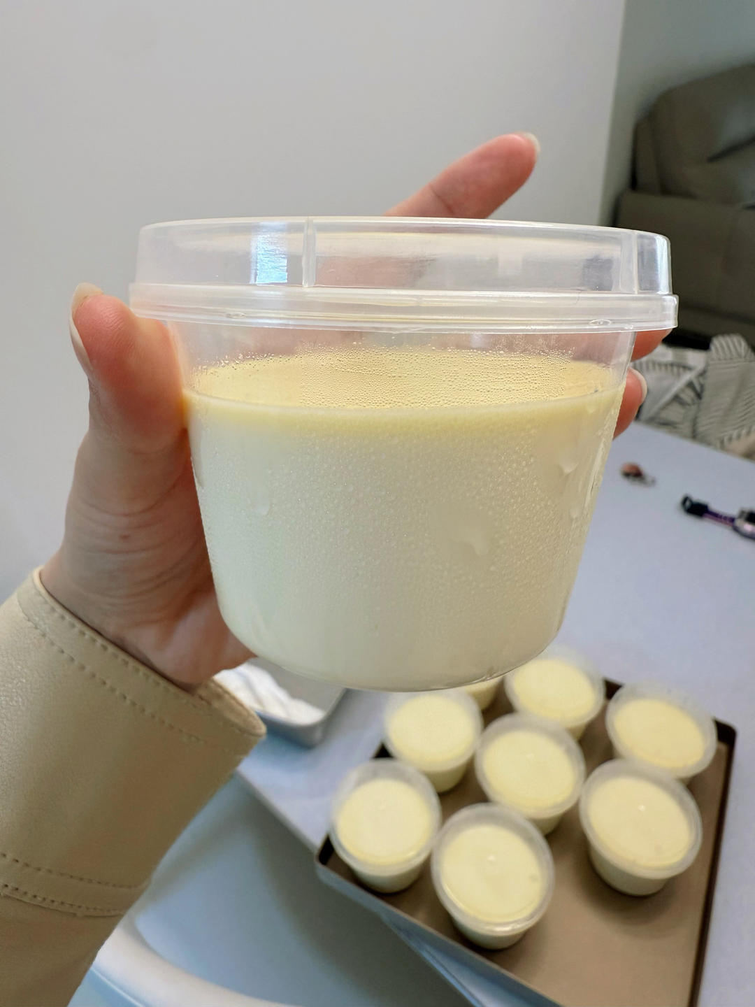 火爆全网的奶皮子酸奶零基础做法