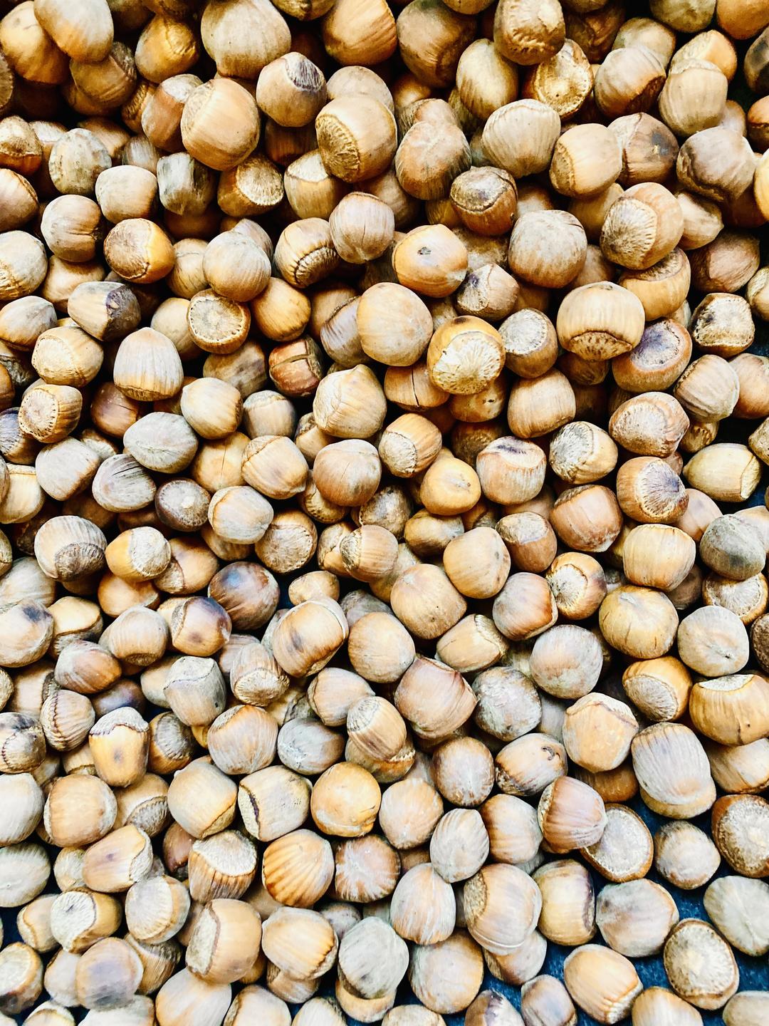 超简单的土法炒榛子🌰