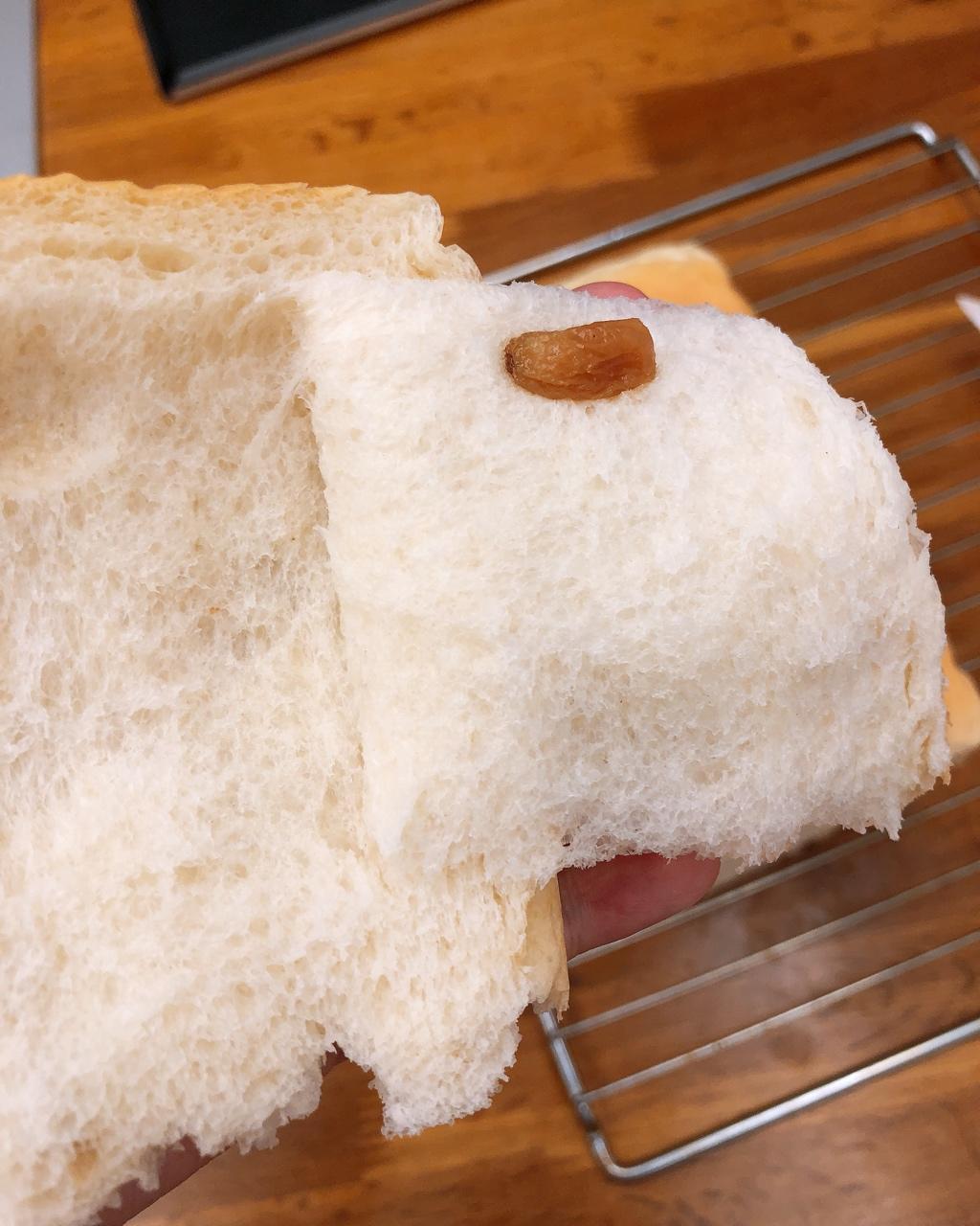 《Tinrry+》软绵绵的白吐司
