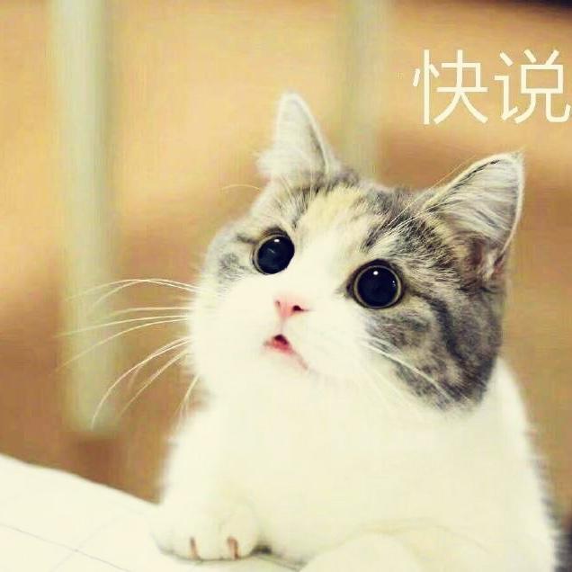 沙发小公举