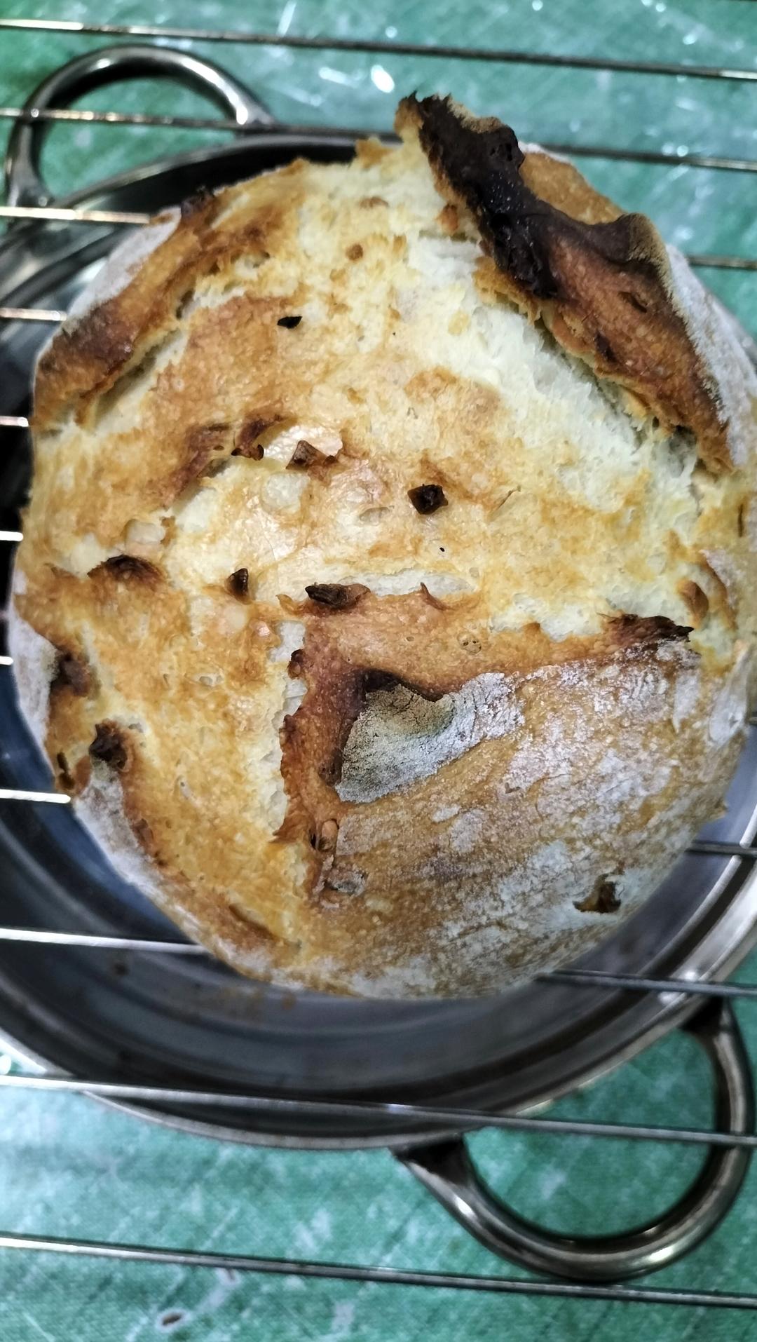 绝密！8分钟，8块钱，吃8天的正宗欧包loaf来了！