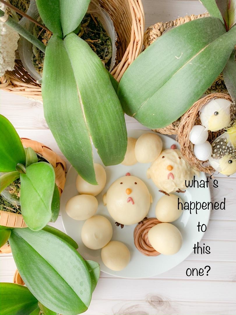 卡通馒头全麦馒头母鸡和鸡蛋