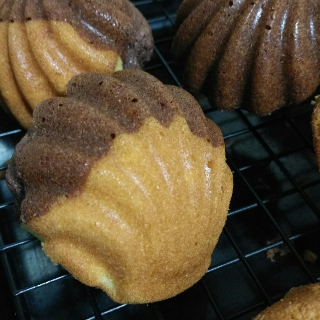 三种颜色玛德琳—抹茶 可可 原味贝壳蛋糕