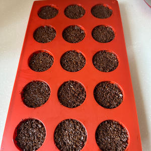 巧克力燕麦脆（消耗燕麦和巧克力）的做法 步骤6