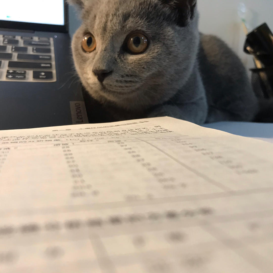 小苗觉得可以