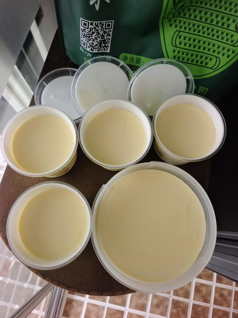 火爆全网的奶皮子酸奶零基础做法