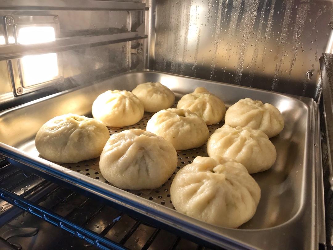 鲜肉包子（附 厨师机揉面方法）