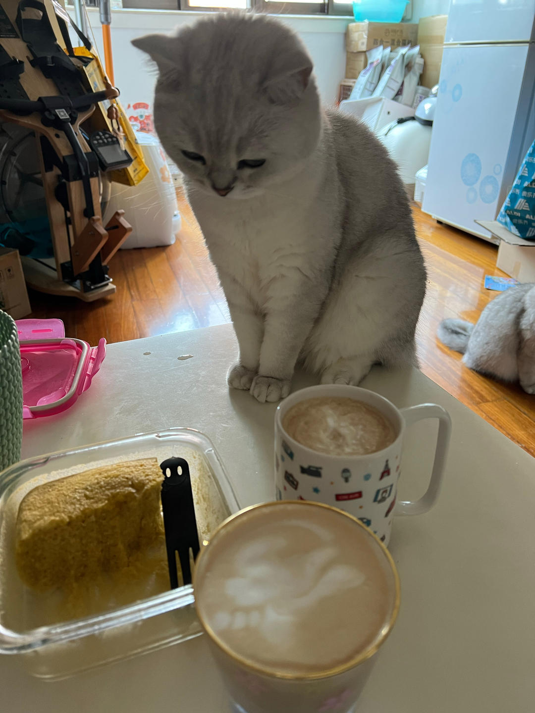 法压壶 | 咖啡和奶泡