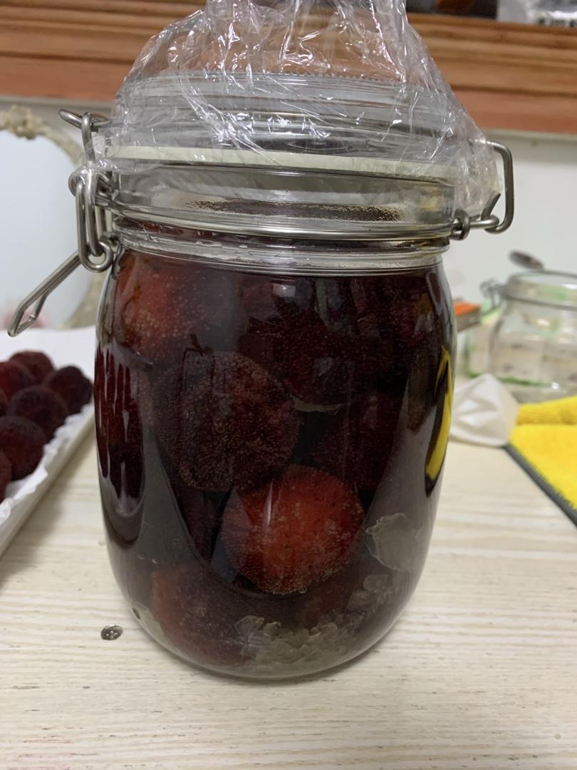 凡人亦不烦做的自酿杨梅酒