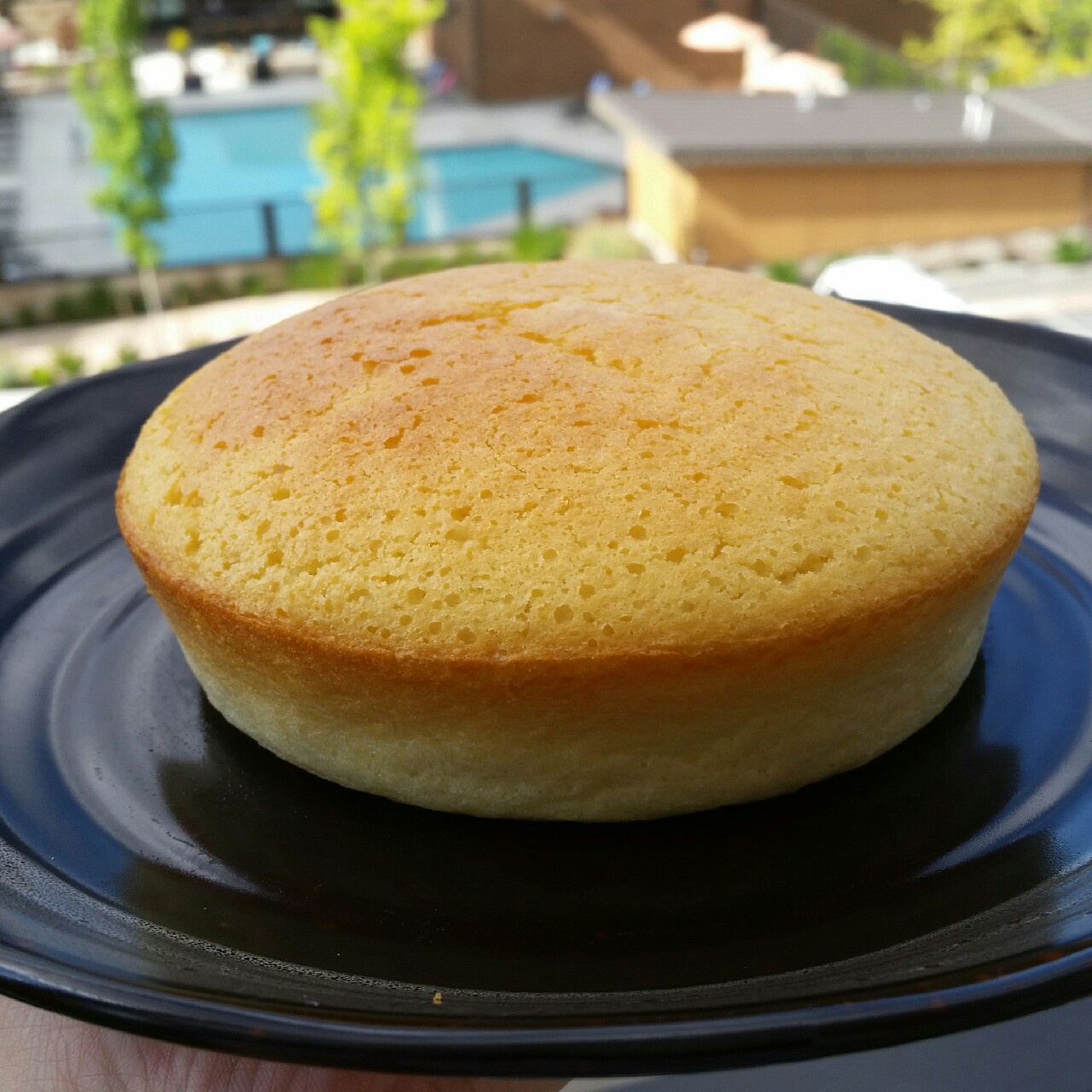 无油酸奶蛋糕6寸（2蛋）