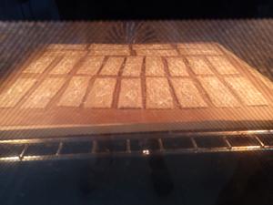天然酵种脆饼（消耗废弃酵种）的做法 步骤10