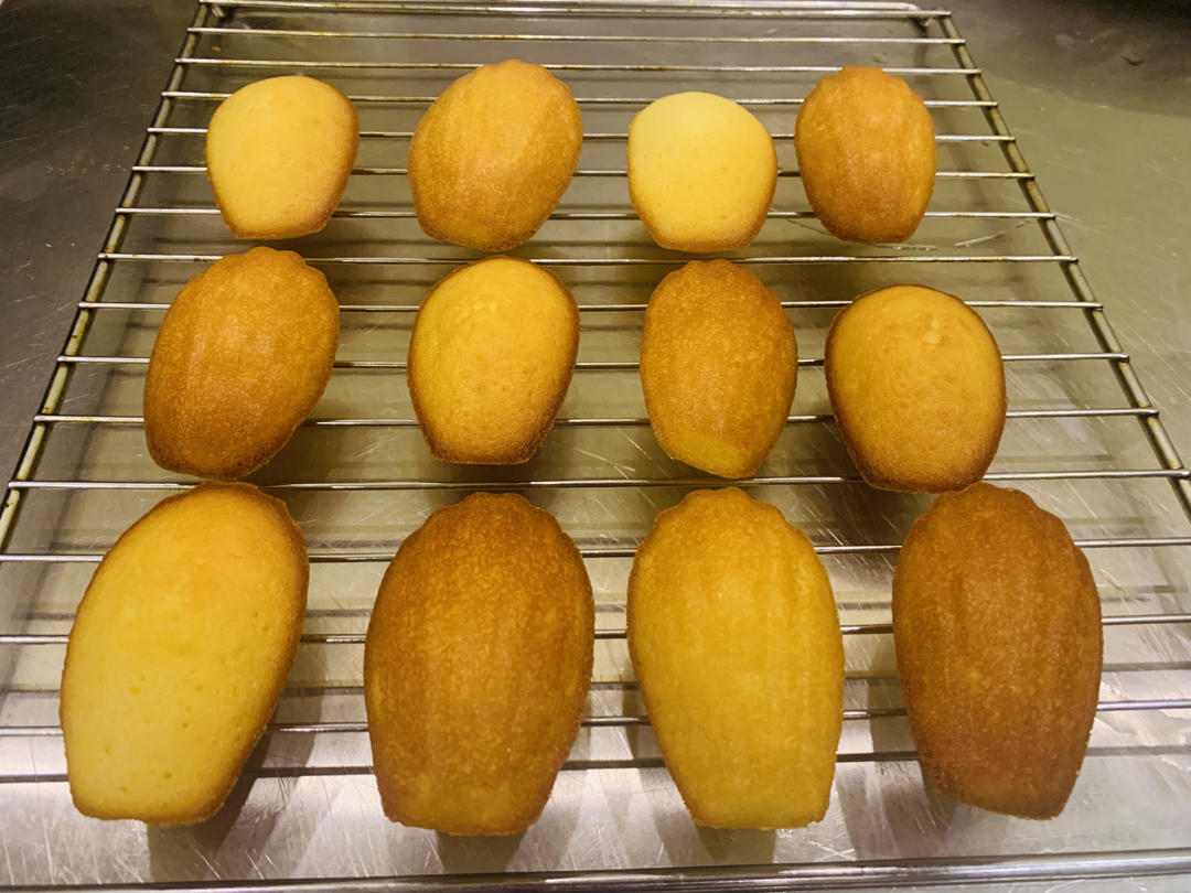 经典原味玛德琳·法国风味甜点『快手、超脆超香！100%鼓肚子』