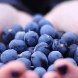 爱烘焙的田螺姑娘