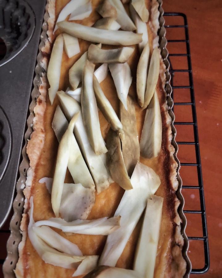 塔皮