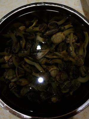 春天万物🌱生，此刻的贝类🐚也是最鲜嫩肥美时，简单的料理做👏一款“油淋花蛤”以显食物源味✨的做法 步骤1
