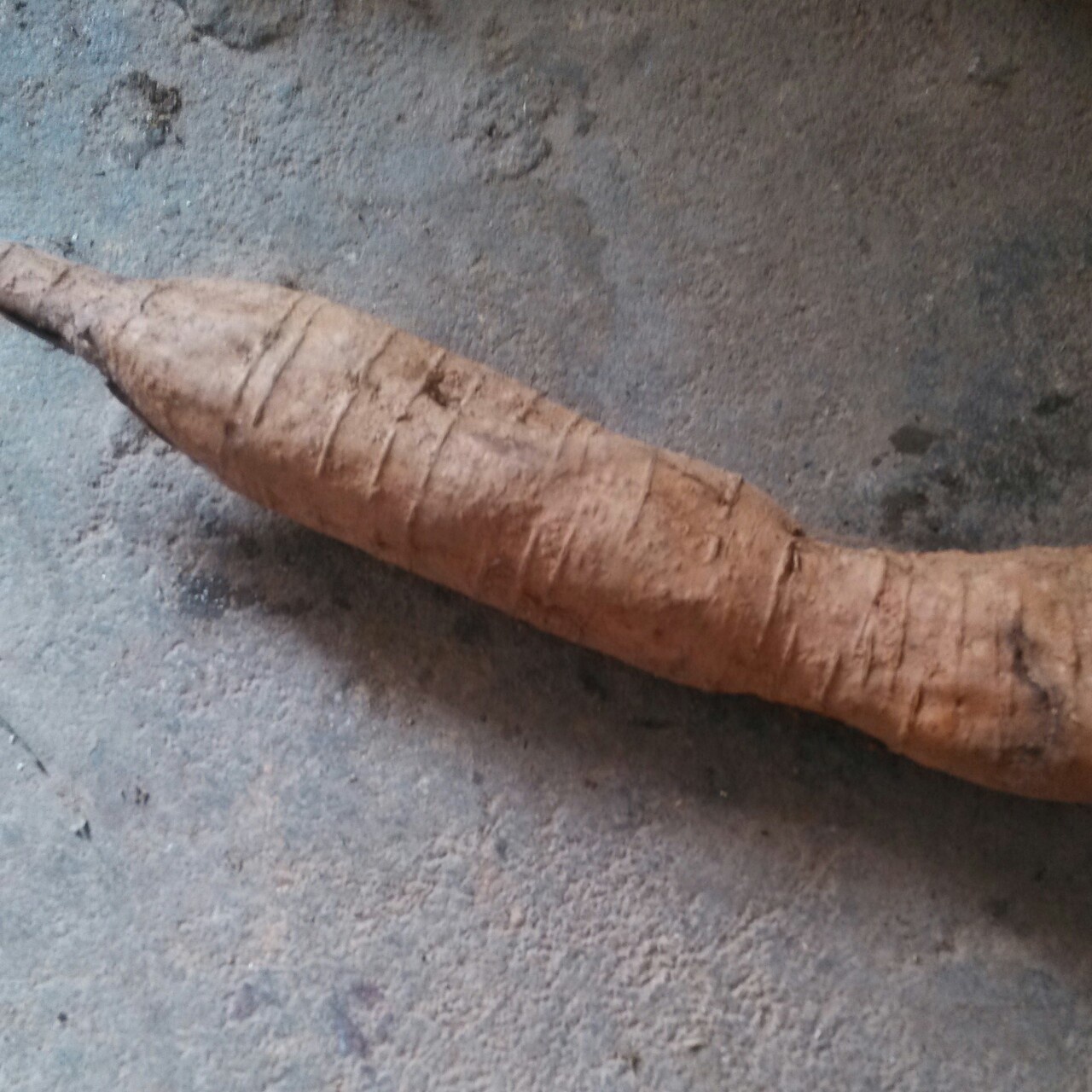 午餐•2015年4月11日