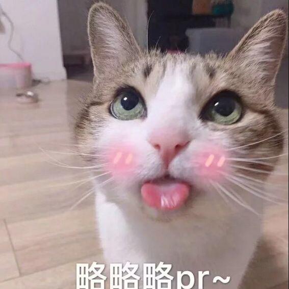猫咪甜品屋