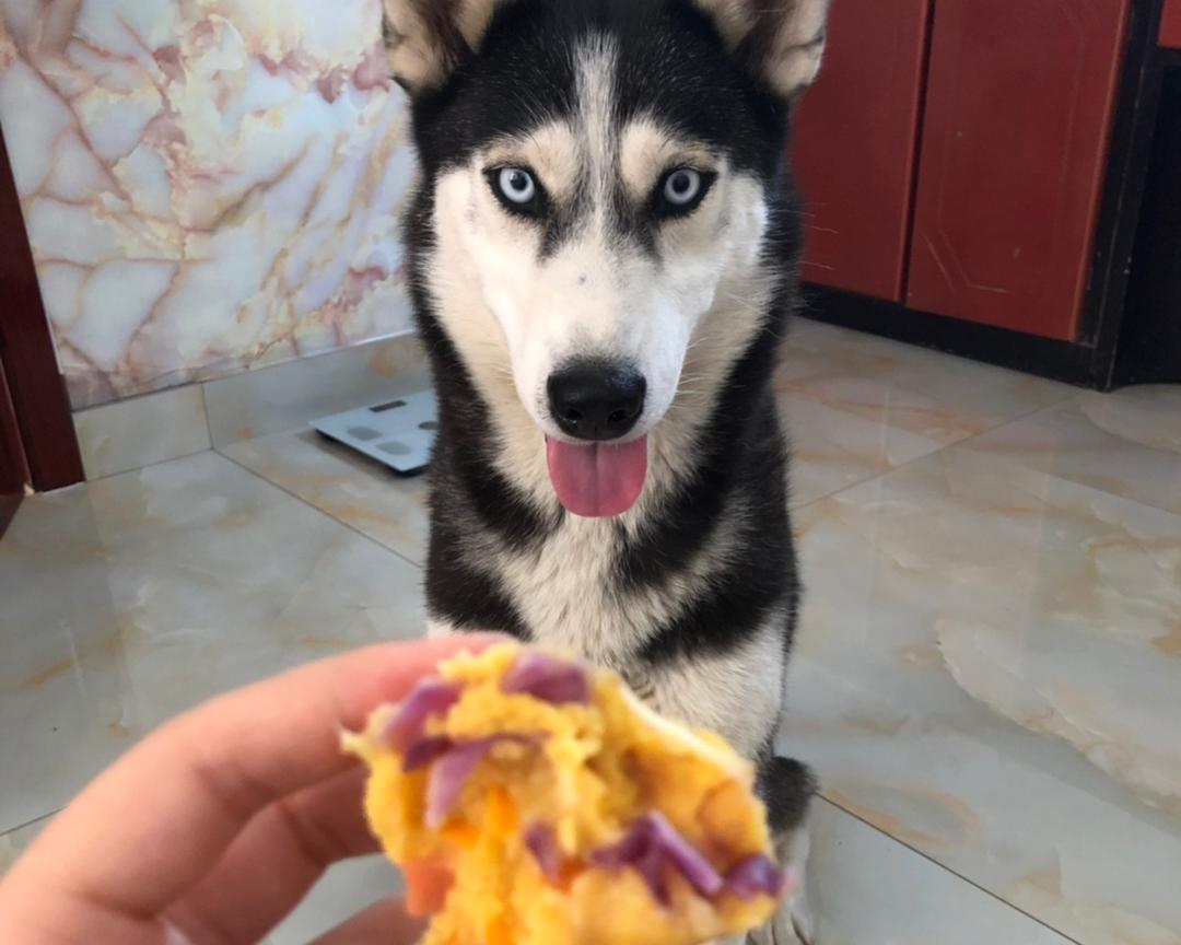 狗狗窝窝头自制简易版