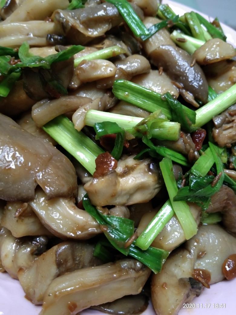 【素炒孜然蘑菇的做法步骤图,怎么做好吃】老周记美食_下厨房