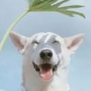 夏天不加冰的厨房