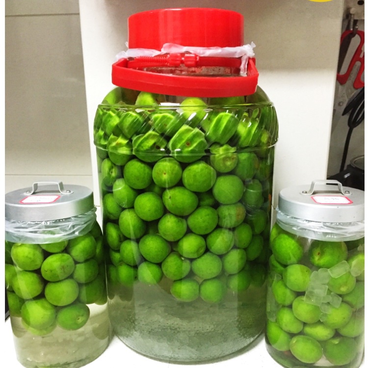 【青梅酒】梅子的沉醉时光（已填坑）