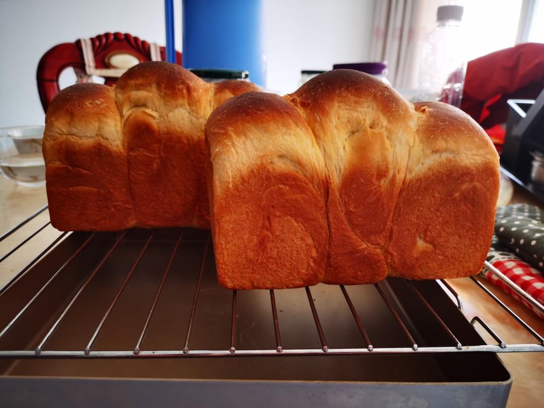 又香又白又温柔--蛋奶吐司